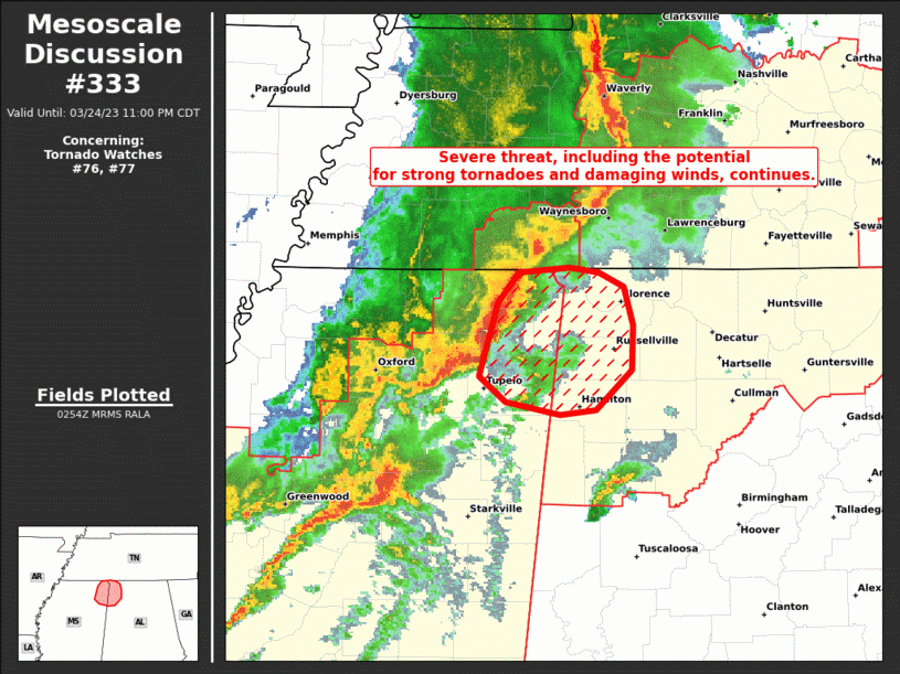 Mesoscale Discussion 333