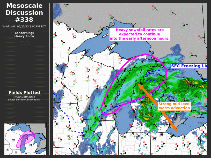 Mesoscale Discussion 338