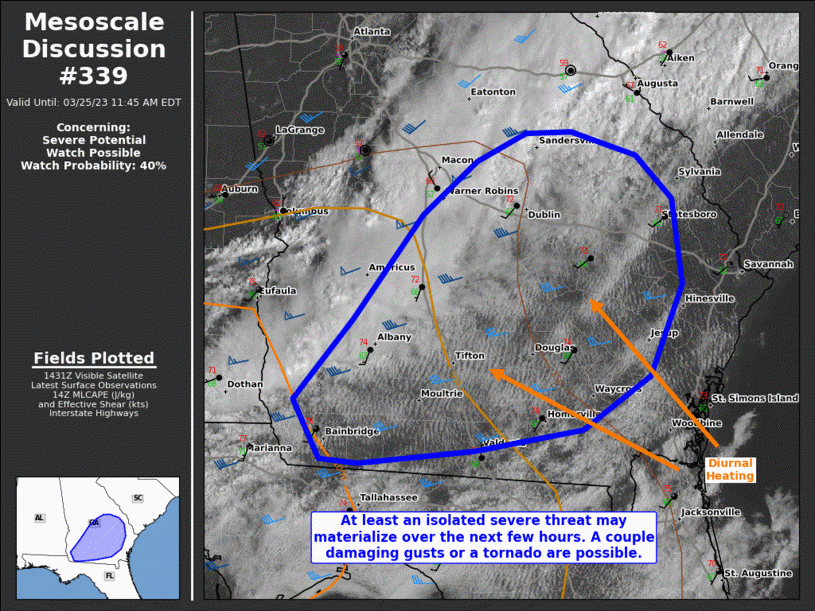 Mesoscale Discussion 339