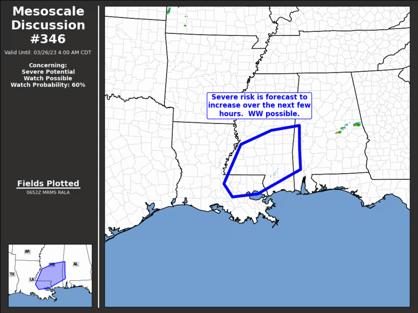 Mesoscale Discussion 346