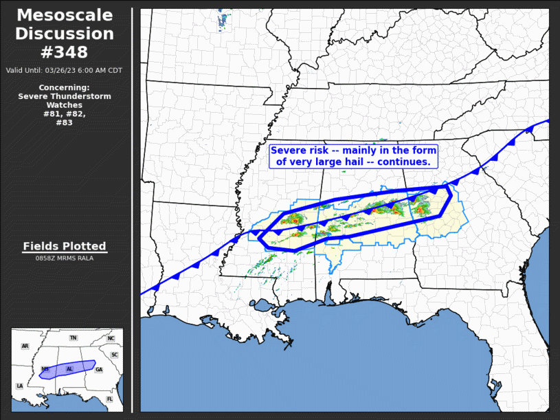 Mesoscale Discussion 348