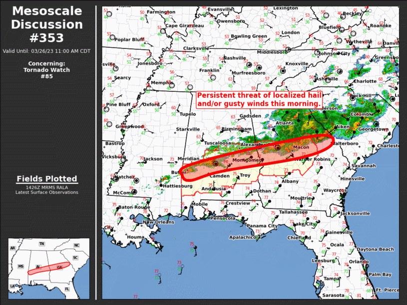Mesoscale Discussion 353