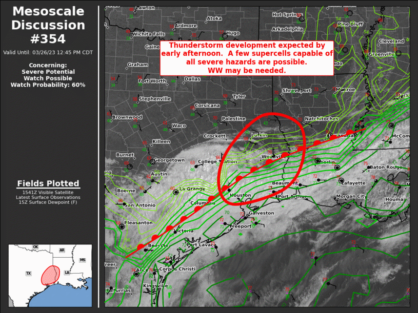 Mesoscale Discussion 354