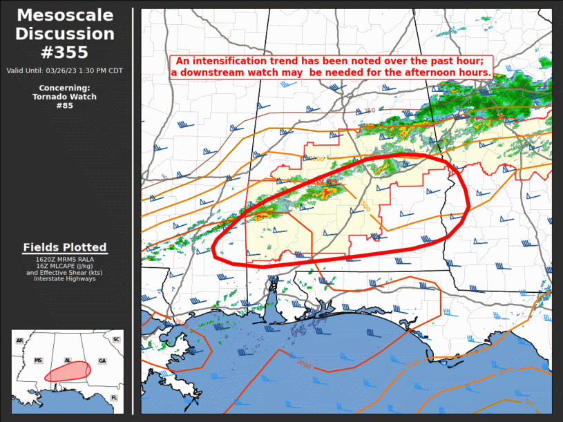 Mesoscale Discussion 355