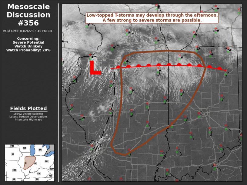Mesoscale Discussion 356