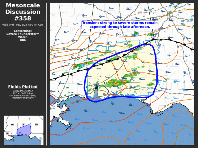 Mesoscale Discussion 358