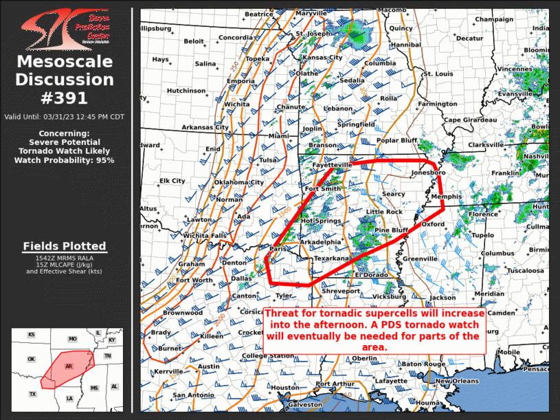 Mesoscale Discussion 391