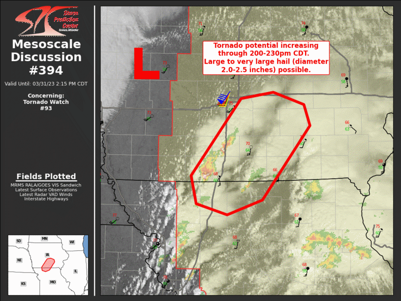 Mesoscale Discussion 394