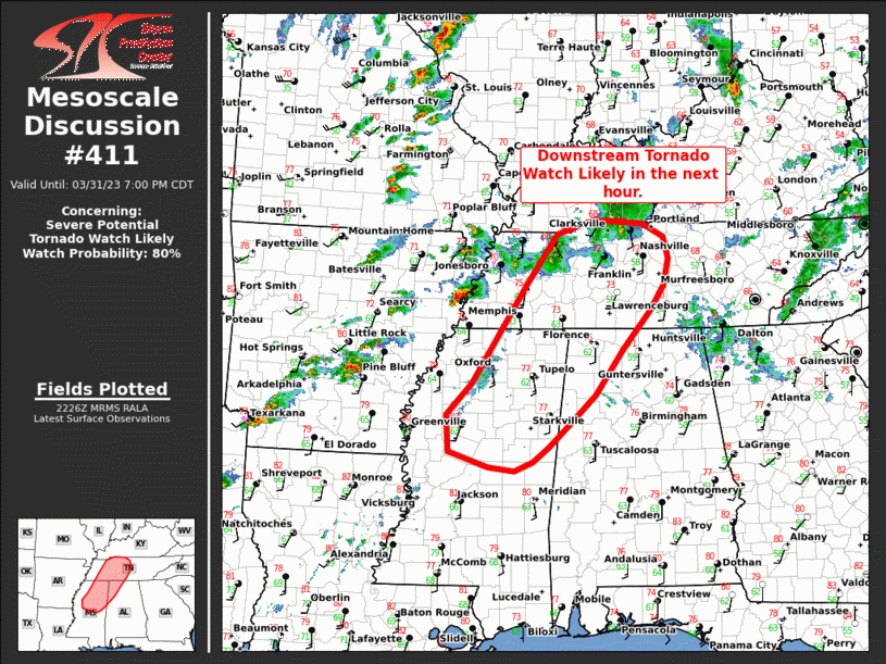 Mesoscale Discussion 411