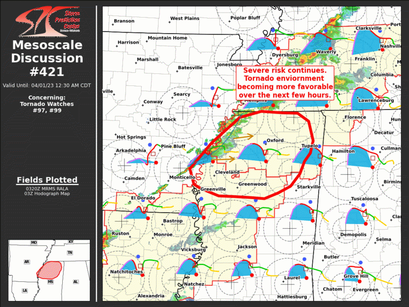 Mesoscale Discussion 421