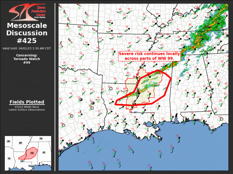 Mesoscale Discussion 425