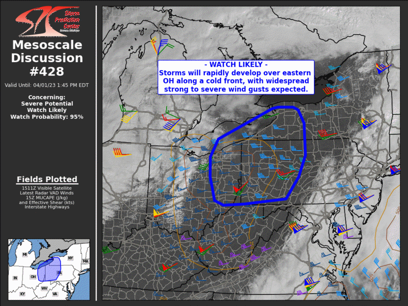 Mesoscale Discussion 428