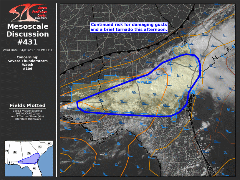 Mesoscale Discussion 431