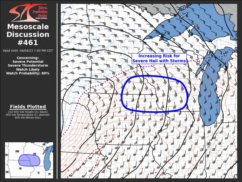 Mesoscale Discussion 461