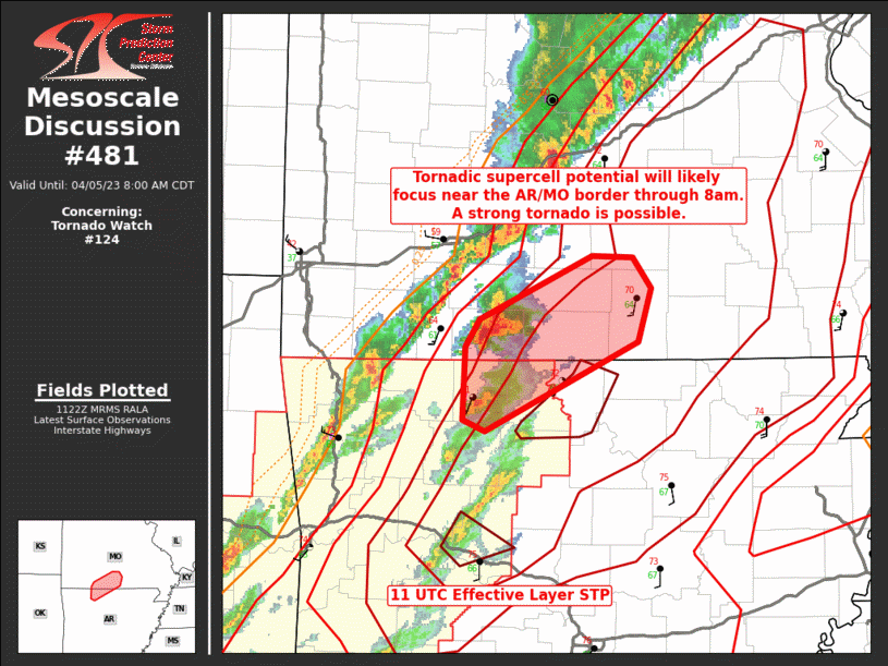 Mesoscale Discussion 481