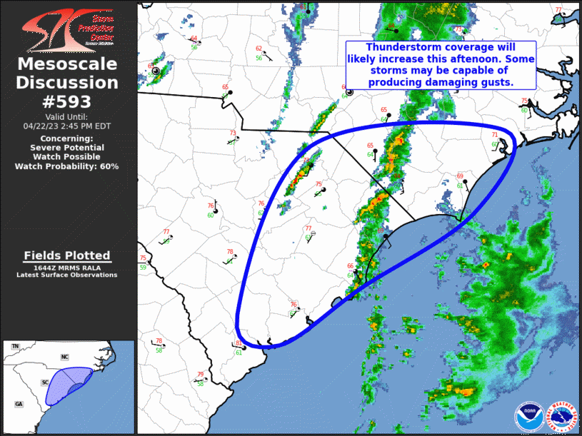 Mesoscale Discussion 593