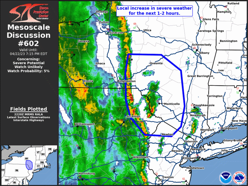 Mesoscale Discussion 602