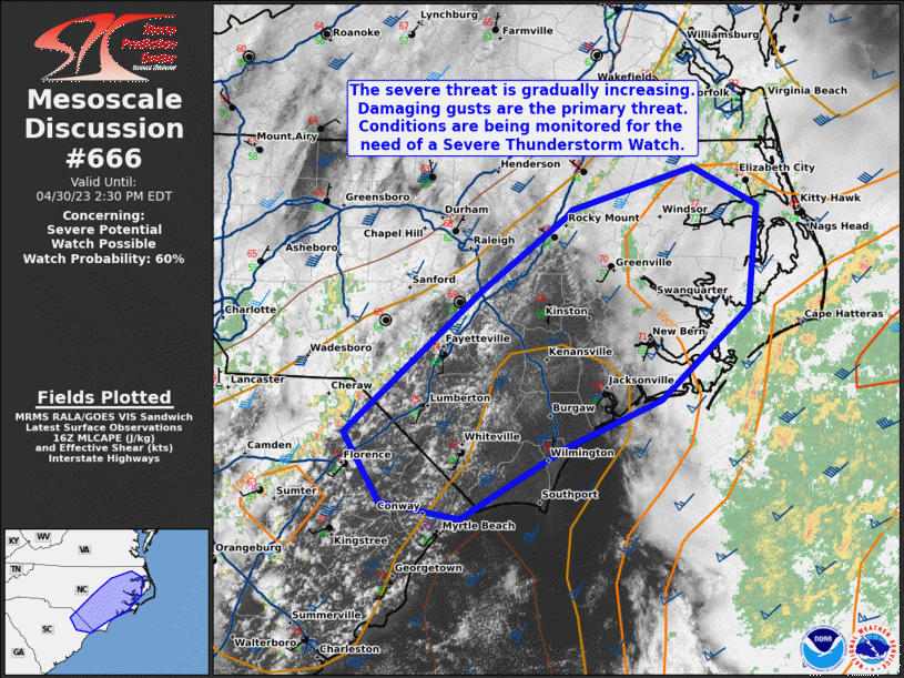 Mesoscale Discussion 666