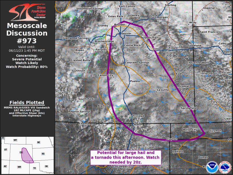 Mesoscale Discussion 973