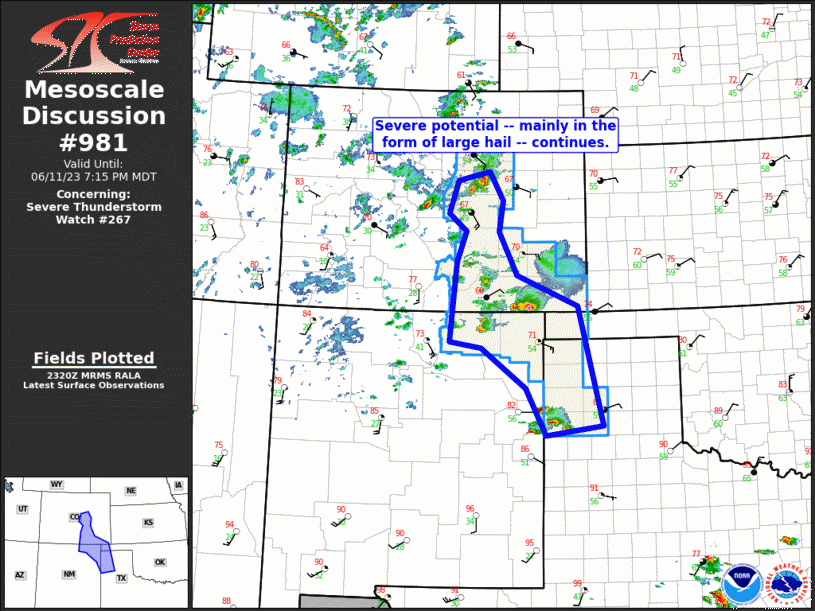Mesoscale Discussion 981