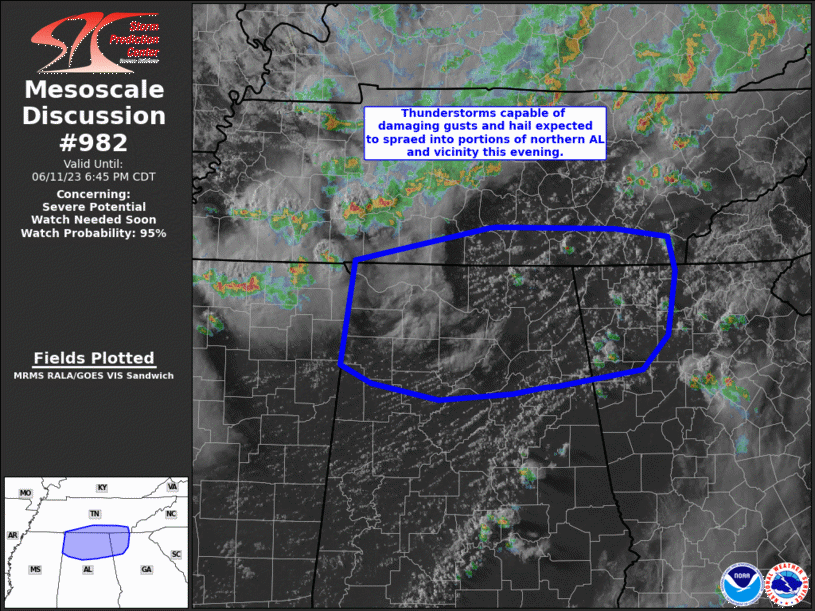 Mesoscale Discussion 982