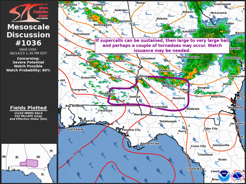 Mesoscale Discussion 1036
