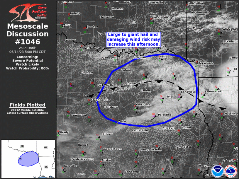 Mesoscale Discussion 1046