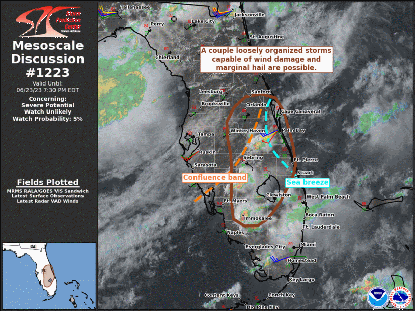 Mesoscale Discussion 1223