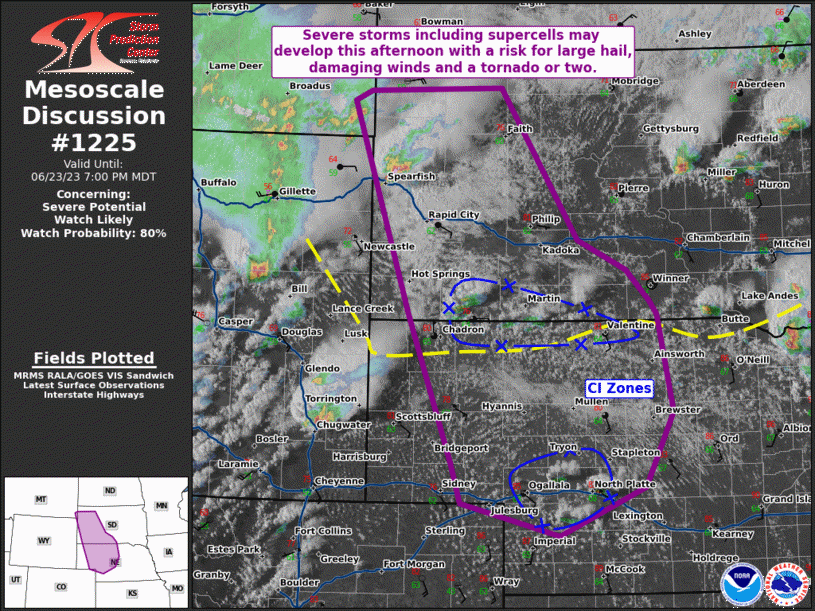 Mesoscale Discussion 1225