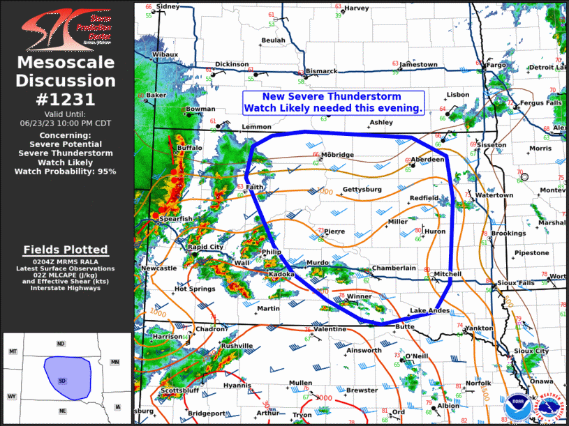 Mesoscale Discussion 1231