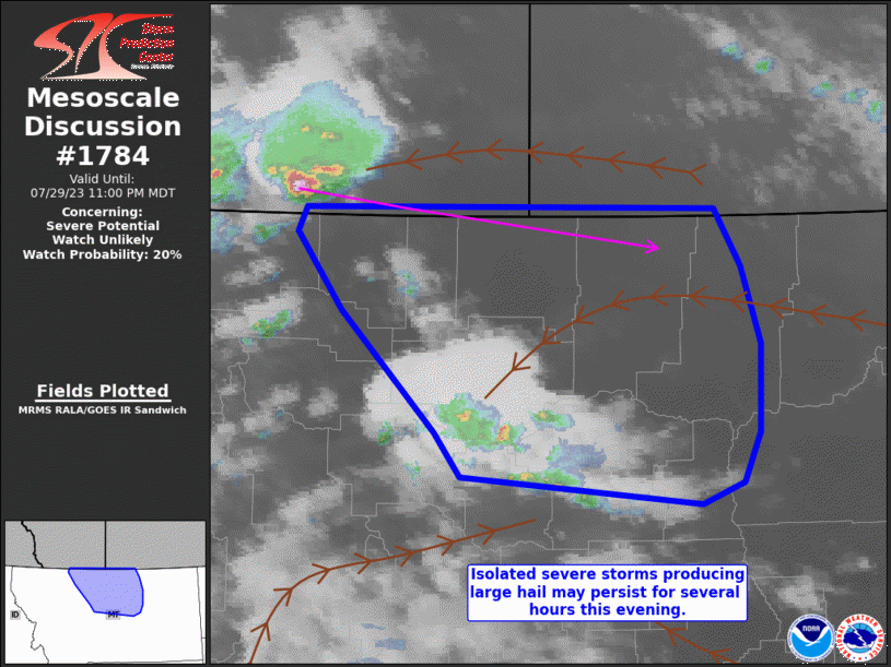 Mesoscale Discussion 1784