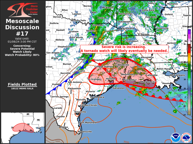 Mesoscale Discussion 17