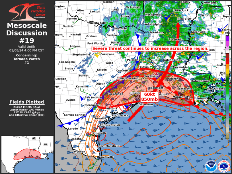Mesoscale Discussion 19