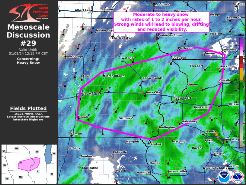 Mesoscale Discussion 29