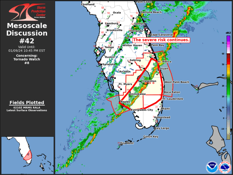 Mesoscale Discussion 42