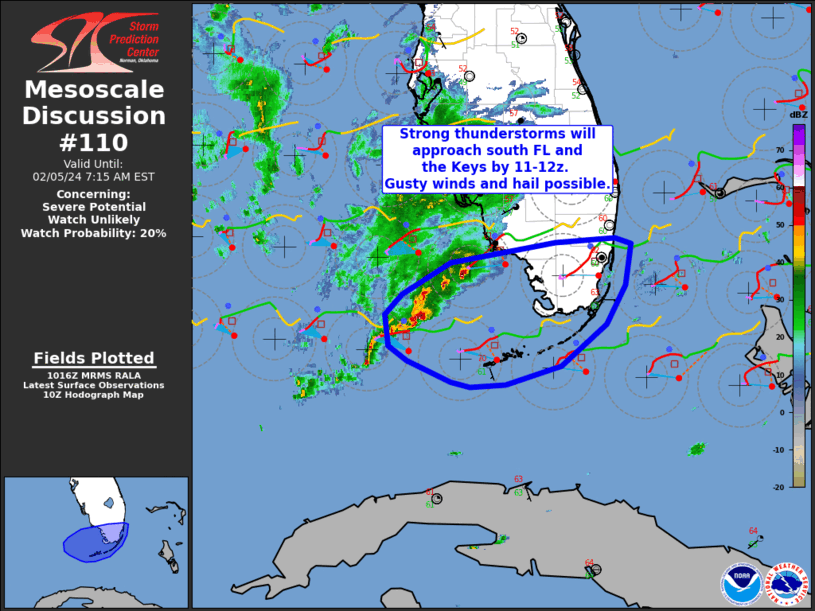 Mesoscale Discussion 110