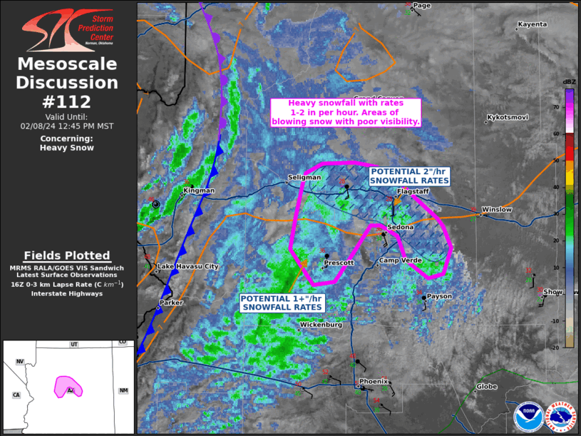 Mesoscale Discussion 112