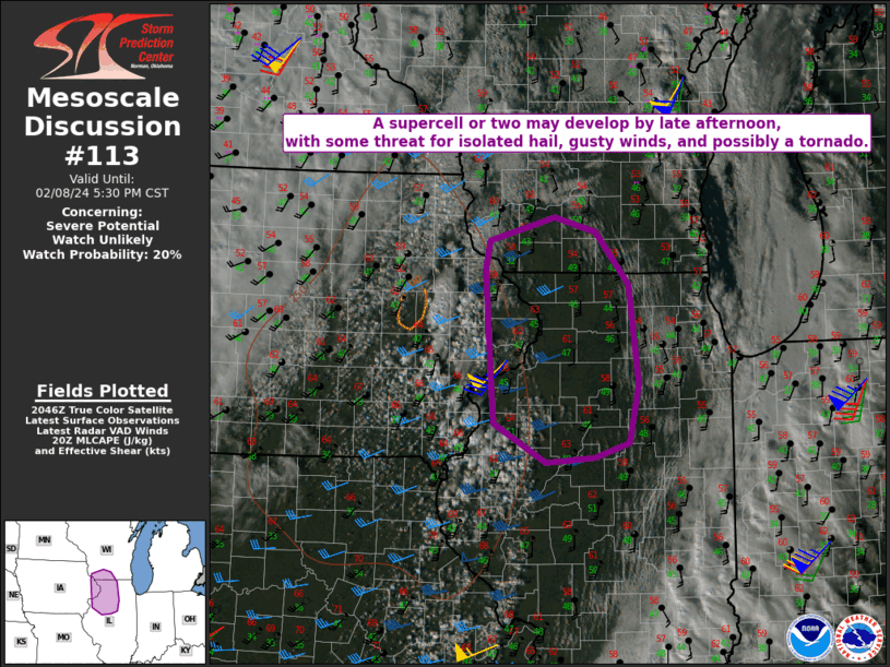 Mesoscale Discussion 113