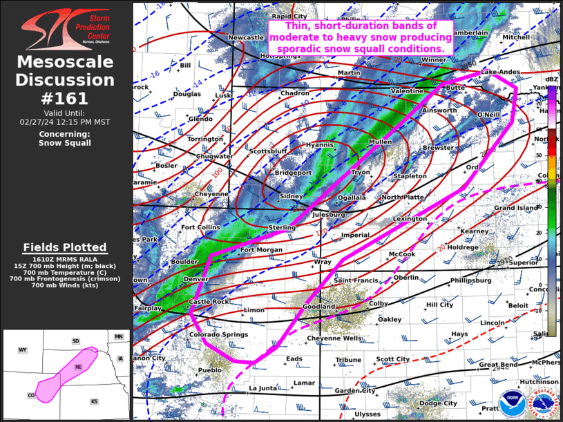 Mesoscale Discussion 161