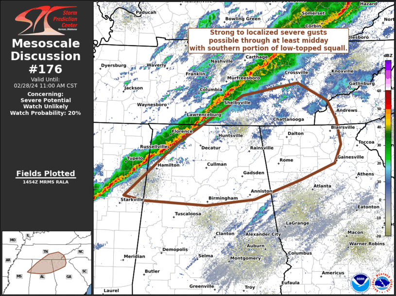 Mesoscale Discussion 176