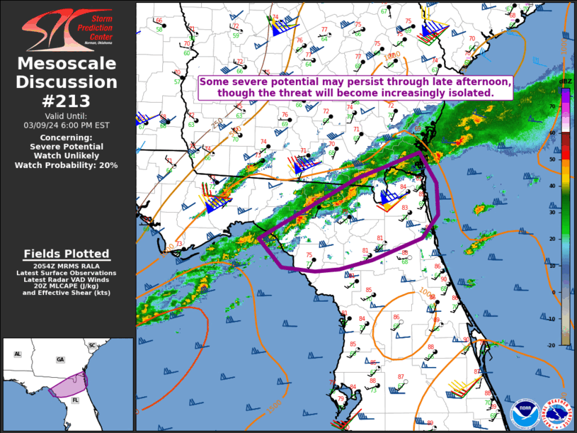 Mesoscale Discussion 213