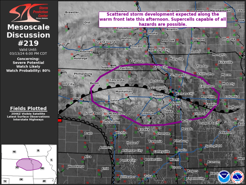 Mesoscale Discussion 219