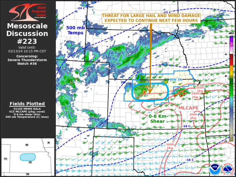 Mesoscale Discussion 223