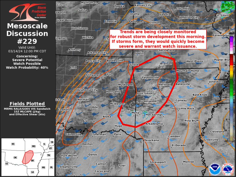 Mesoscale Discussion 229