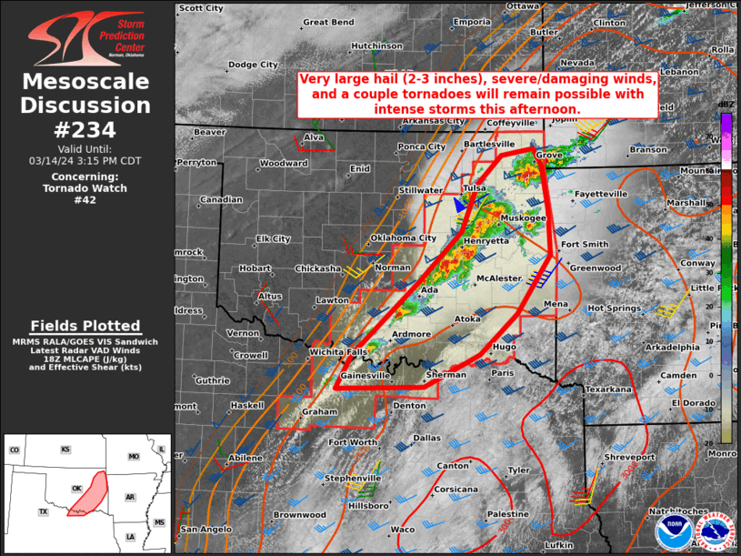 Mesoscale Discussion 234