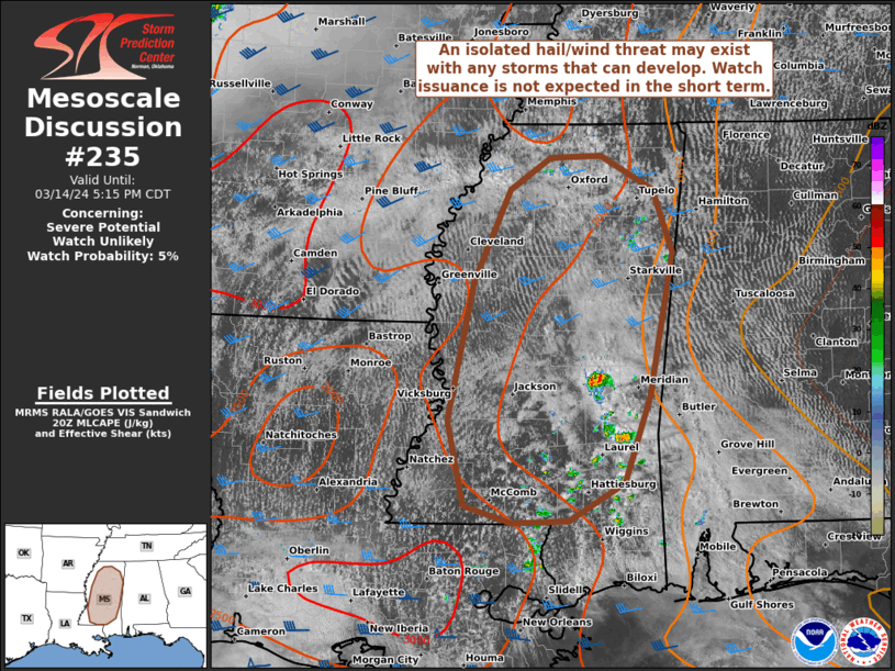 Mesoscale Discussion 235