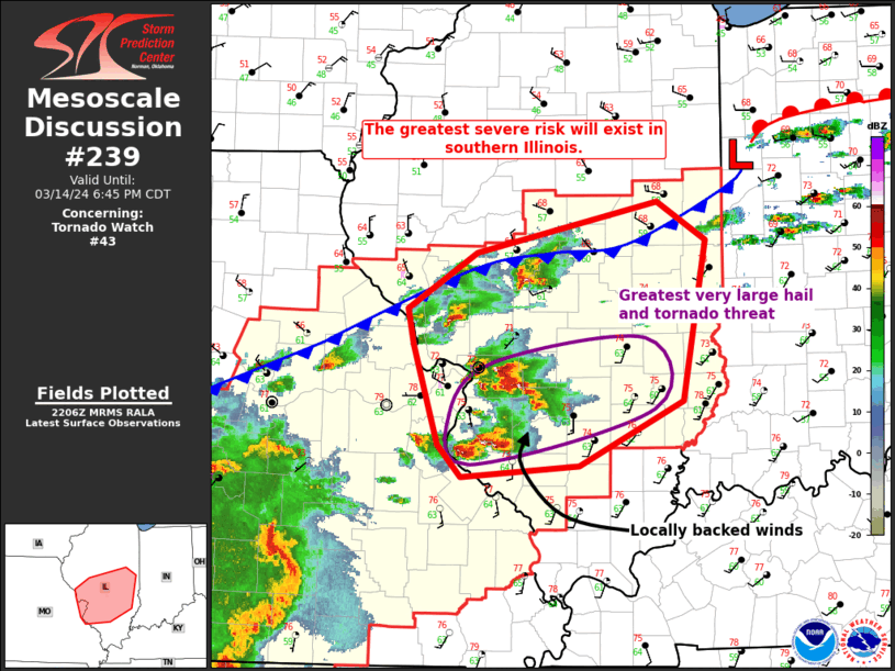 Mesoscale Discussion 239