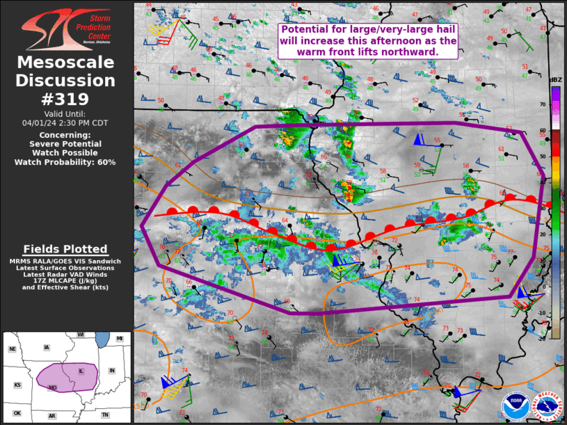 Mesoscale Discussion 319