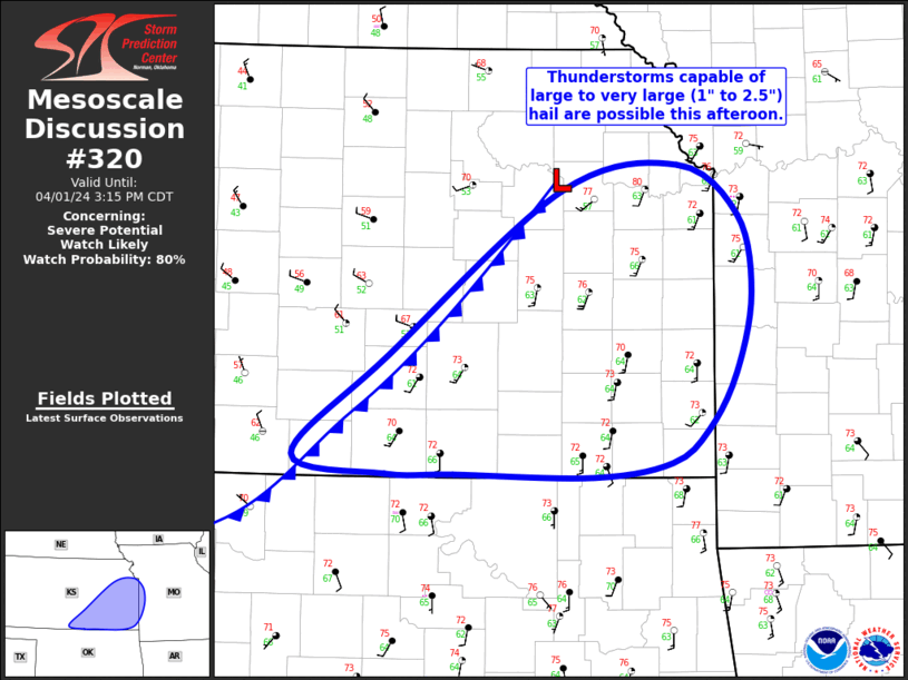 Mesoscale Discussion 320