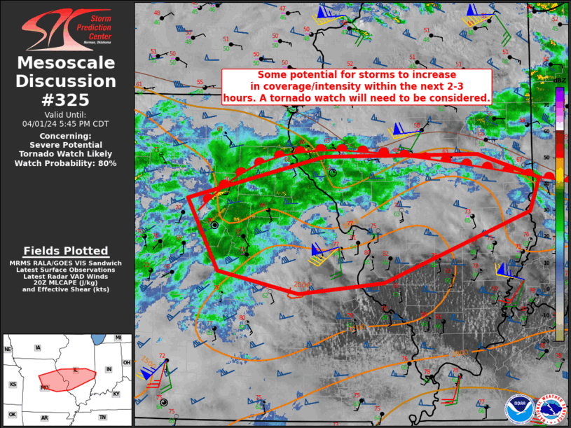 Mesoscale Discussion 325